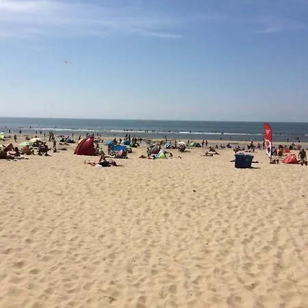 Dunes Of *